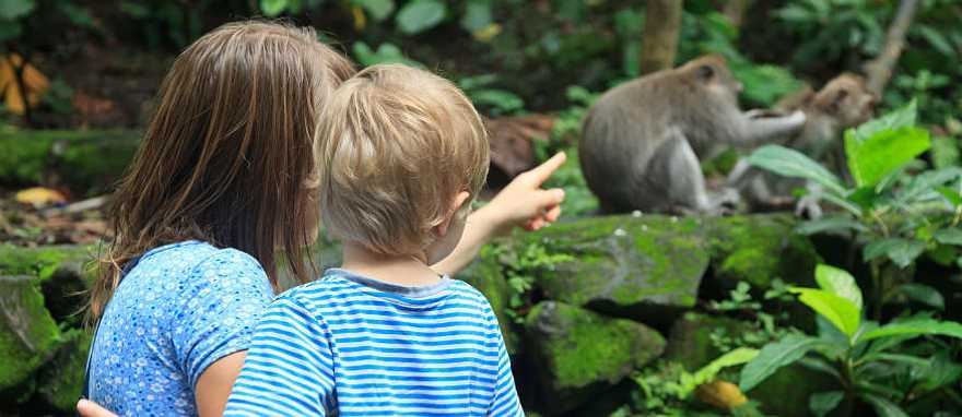 Vacation to Bali with the Family Vacation to Bali with the Family