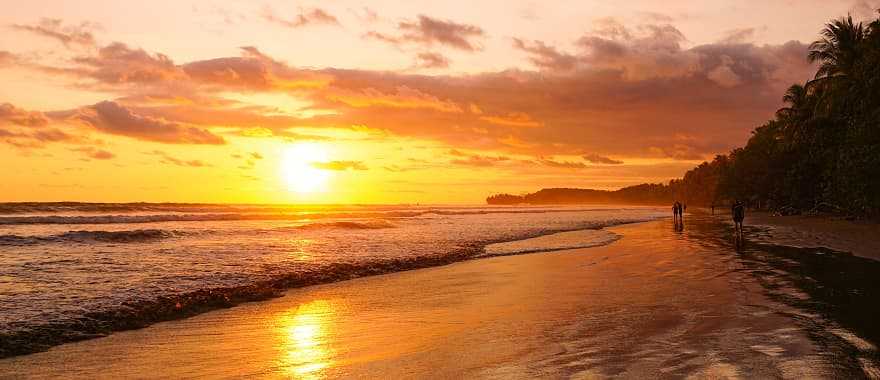 Marino Ballena National Park at sunset in Costa Rica