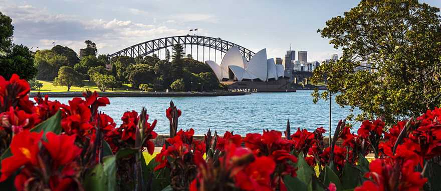 Sydney Harbor and Opera House from the Botanic Gardens in Sydney, Australia. Sydney Harbor and Opera House from the Botanic Gardens in Sydney, Australia.