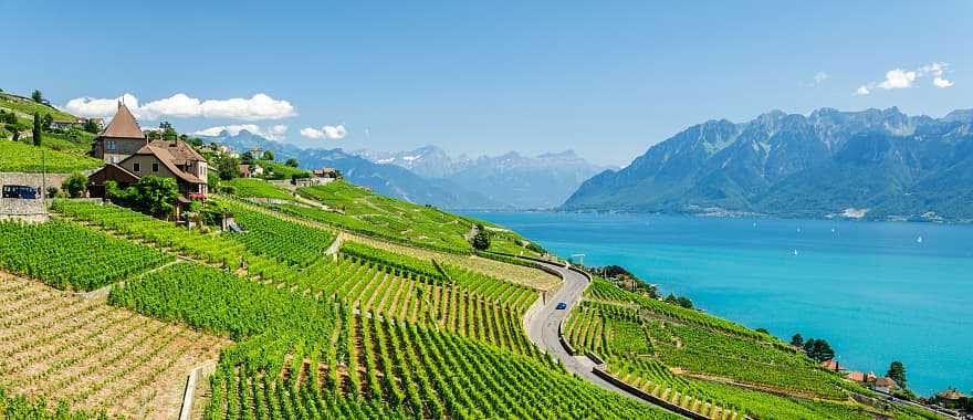 Vineyard terraces in the Lavaux wine region