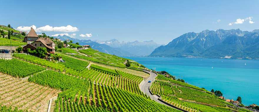 Vineyard terraces in the Lavaux wine region