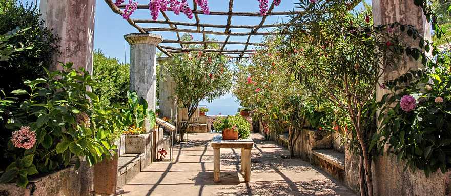 Flowers in bloom at Villa Rufolo in Ravello on the Amalfi Coast, Italy