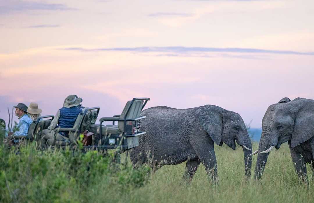 Couple experiencing a close encounter with two elephants.