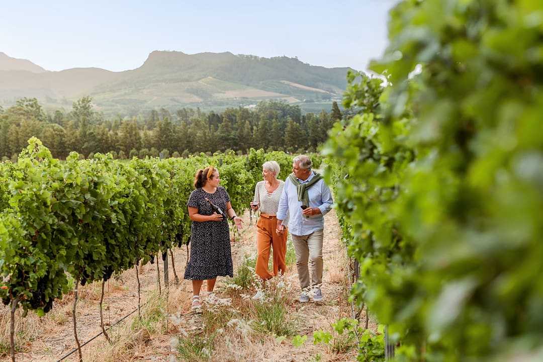 Senior couple in Cape Winelands, South Africa