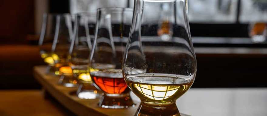 Glasses of the famous single malt Scotch whiskey Glasses of the famous single malt Scotch whiskey