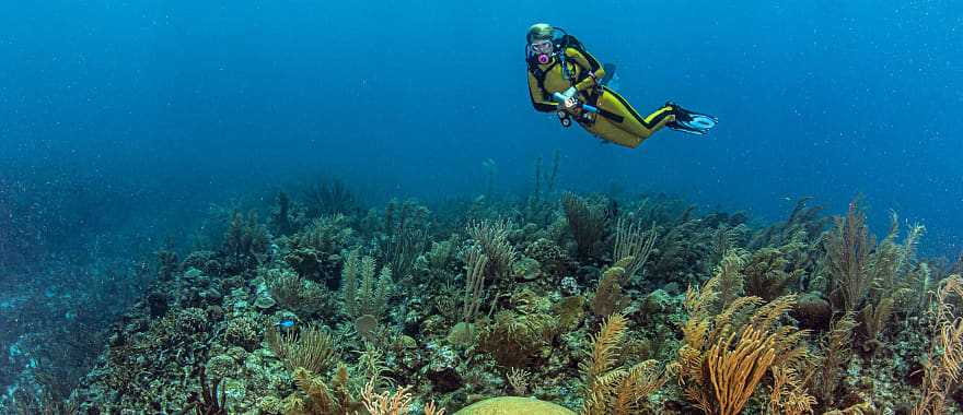 Scuba diving the Great Blue Hole in Belize