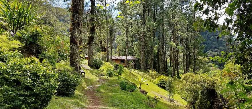 Lost waterfalls trail in Boquete, Panama Lost waterfalls trail in Boquete, Panama
