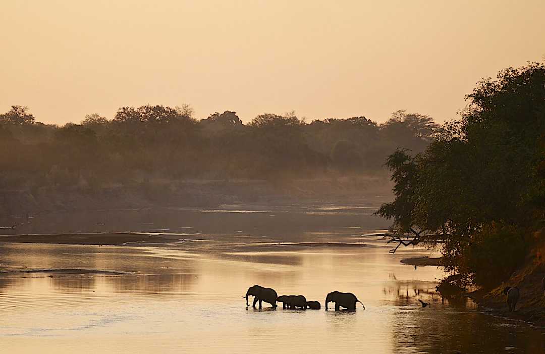 South Luangwa river, Zambia.