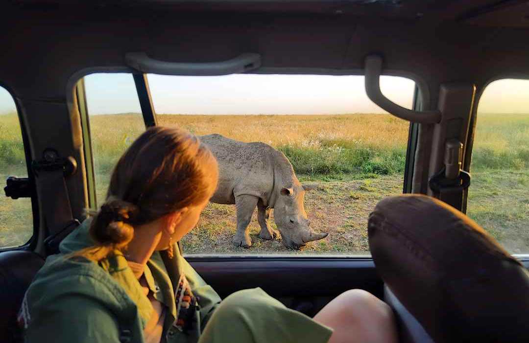 Woman looking at a rhino on a private safari.