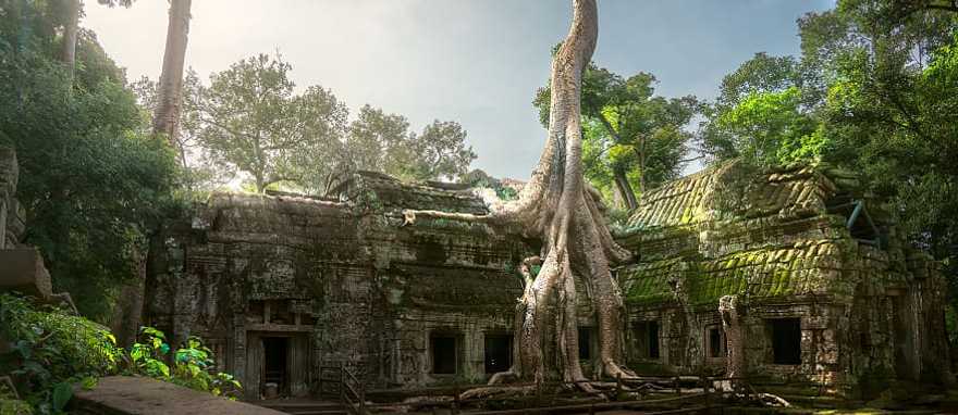 Sunrise over Ta Prohm at Angkor Wat in Siem Reap, Cambodia Sunrise over Ta Prohm at Angkor Wat in Siem Reap, Cambodia