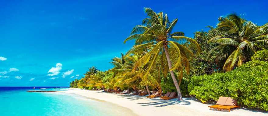 Lily Beach Resort & Spa at Huvahendhoo Lily Beach Resort & Spa at Huvahendhoo in the Maldives