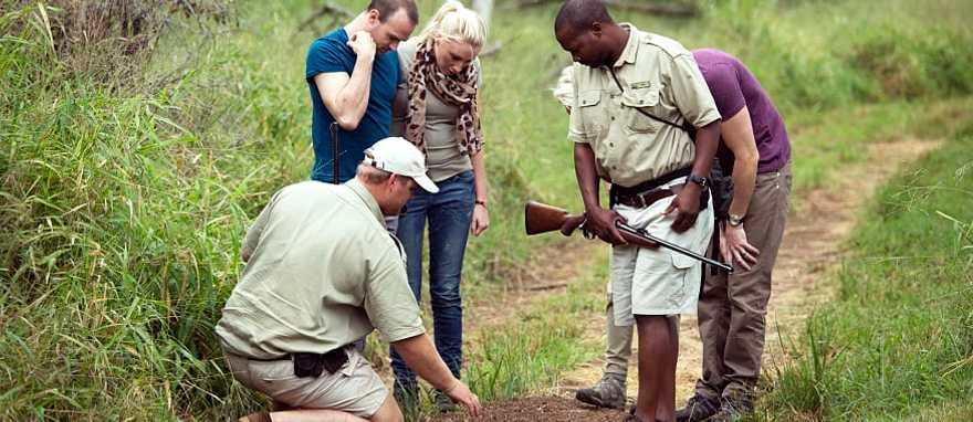 Guided walk in Greater Kruger. Photo courtesy of South Africa Tourism Guided walk in Greater Kruger, South Africa