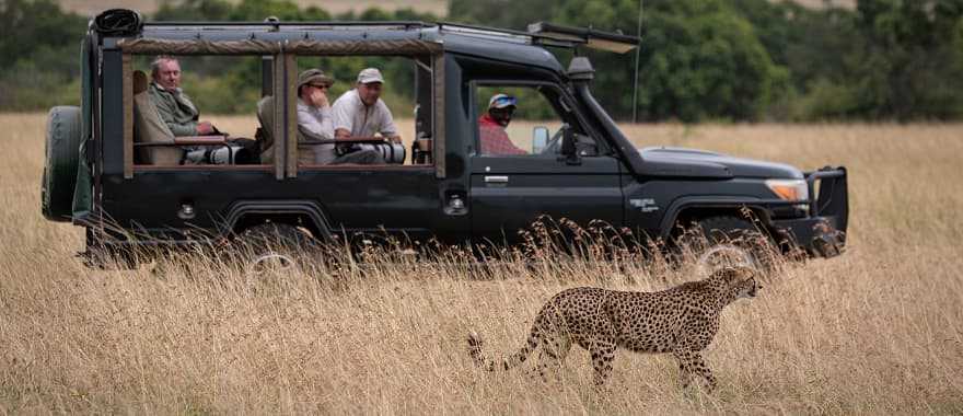 Safari in Masai Mara, Kenya