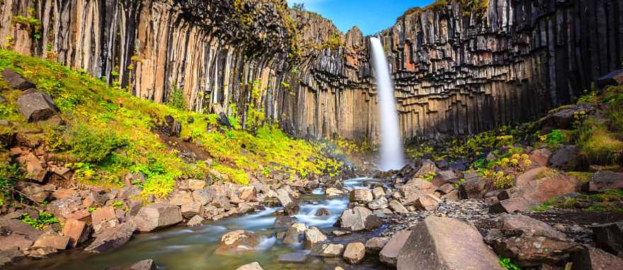 Svartifoss in South Iceland Beautiful Svartifoss waterfall with basalt columns on South Iceland