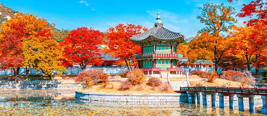 Autumn at Gyeongbokgung Palace in South Korea, Autumn at Gyeongbokgung Palace in South Korea,