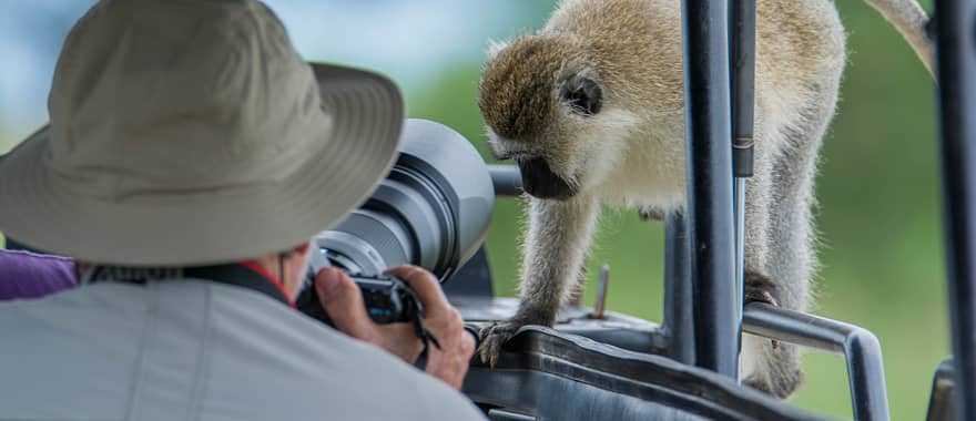 Safari tour in the African savanna