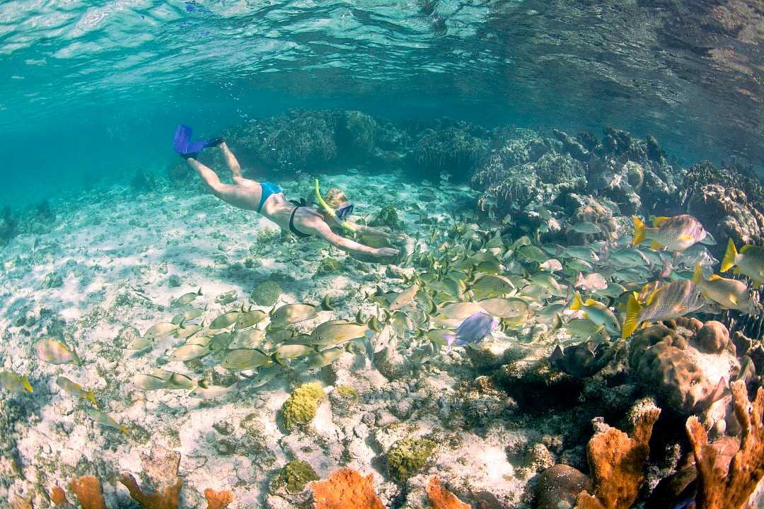 Snorkeling in Belize