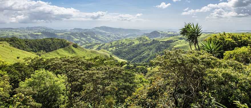 Experience the sensation of freedom from flight as you zipline through the Cloud Forest in Monteverde.