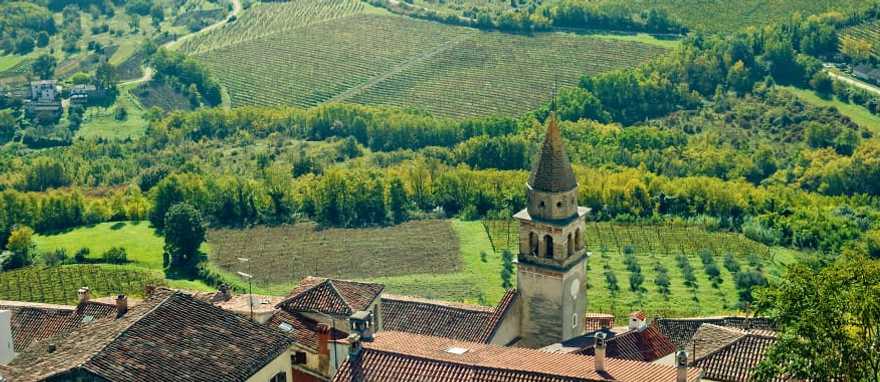Medieval Motovun surrounded by vineyards in Croatia Medieval Motovun surrounded by vineyards in Croatia