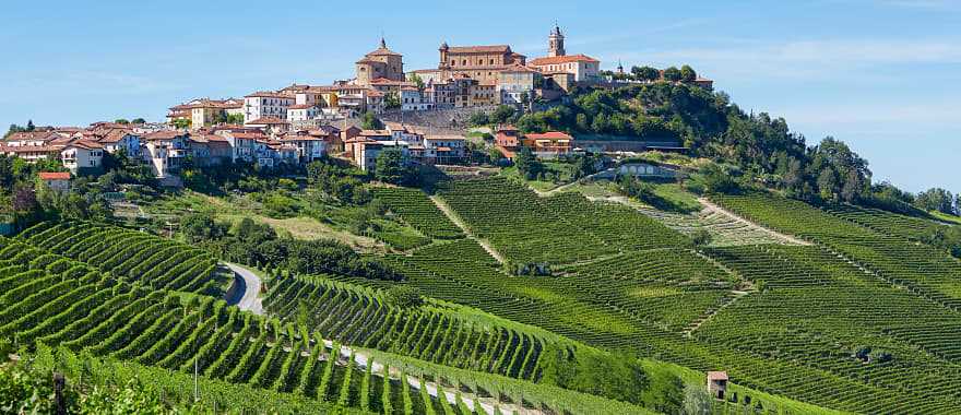 La Morra surrounded by vineyards