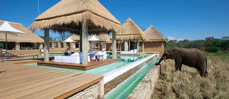 Kapama River Lodge in Kapama Private Game Reserve, South Africa Kapama River Lodge in Kapama Private Game Reserve, South Africa