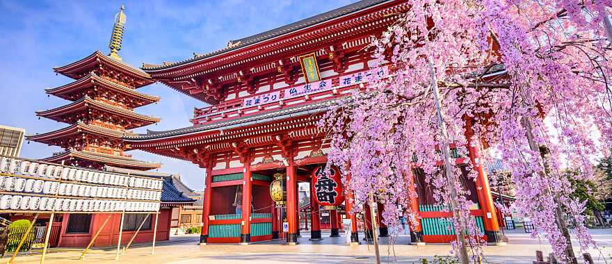 Sensoji Temple in Asakusa, Tokyo, Japan. 