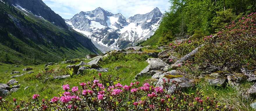 Snow capped alps in Salzburg, Austria. Snow capped alps in Salzburg, Austria.