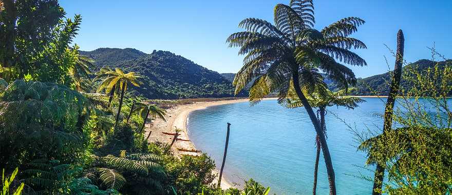 Beach at Nelson Abel Tasman National Park in New Zealand 