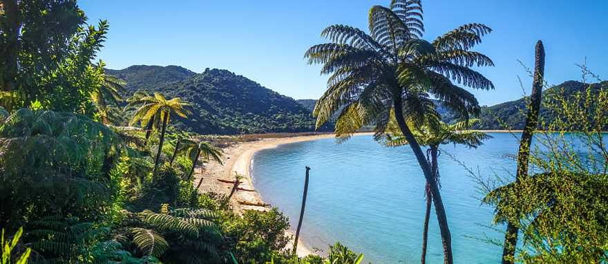 Beach at Nelson Abel Tasman National Park in New Zealand Beach at Nelson Abel Tasman National Park in New Zealand