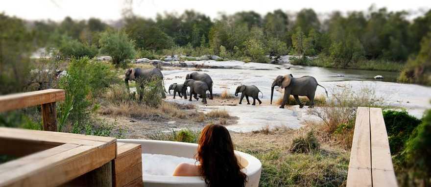 Woman bathing at private suite with river view of elephant crossing