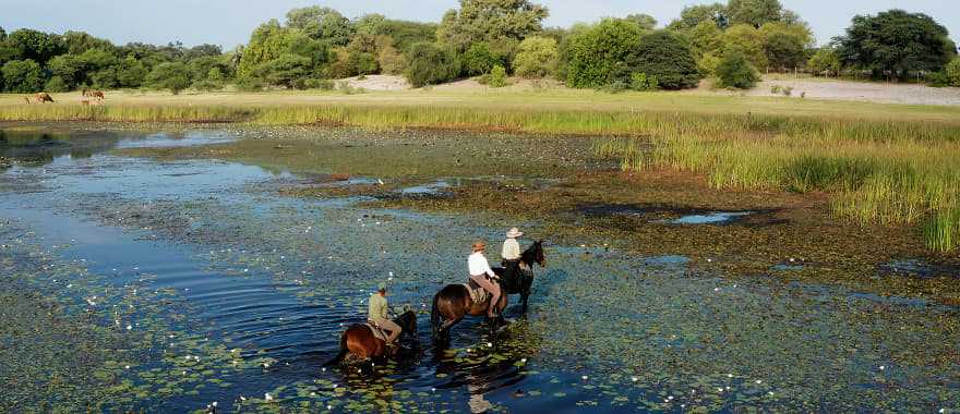 Horseback safari in the Okavango Delta