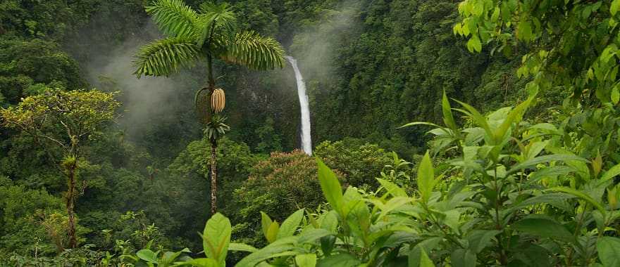 Enjoy beautiful views of the enchanting La Fortuna Falls