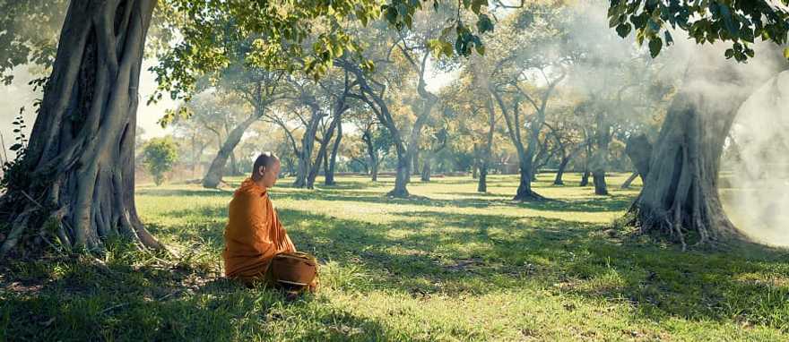 Monk meditating under a tree in Cambodia