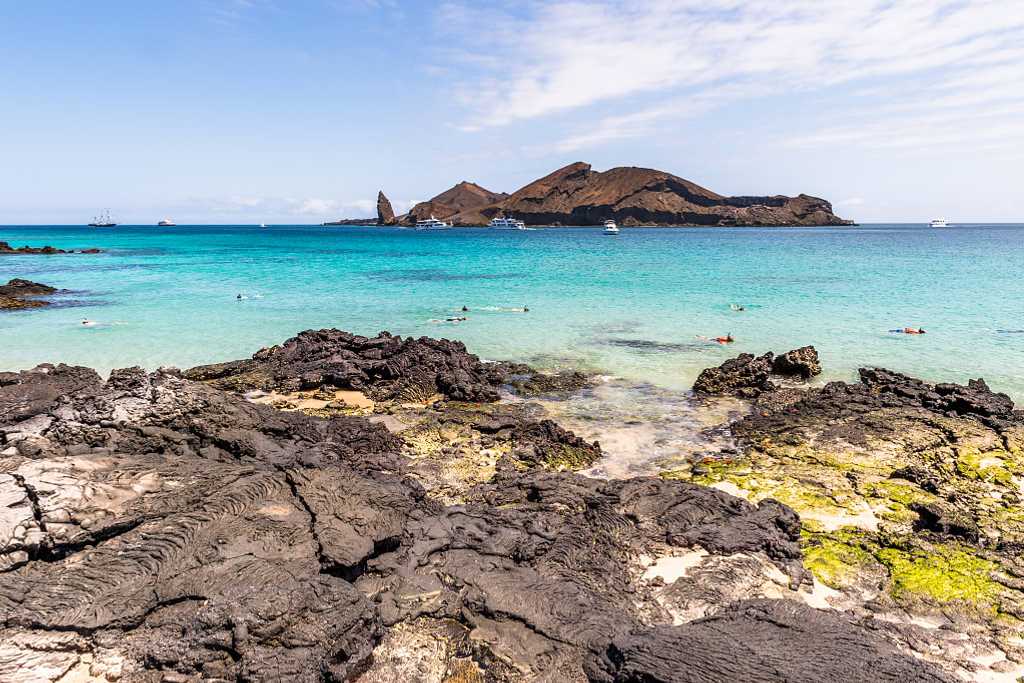 Snorkelers at Sullivan Bay on Santiago Island, Galapagos, Ecuador