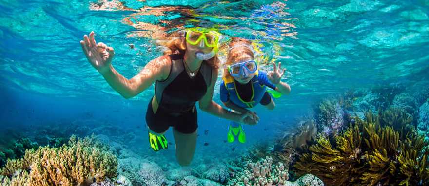 Mother and daughter snorkeling 