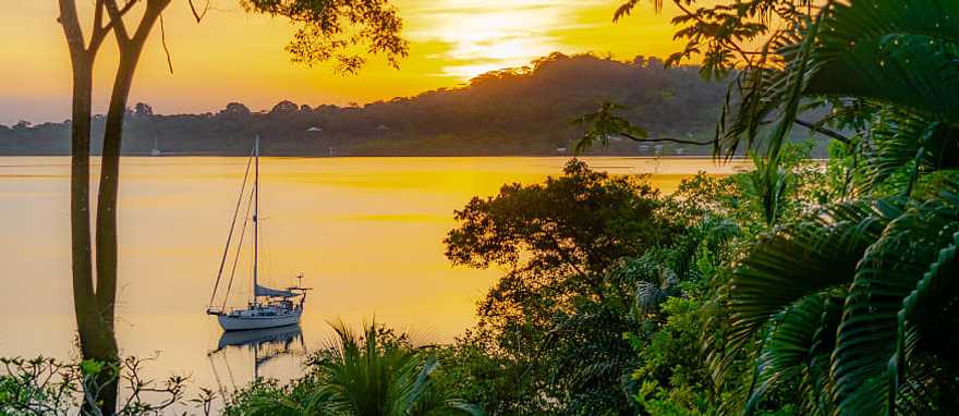 Dolphin bay in Bocas del Toro, Panama