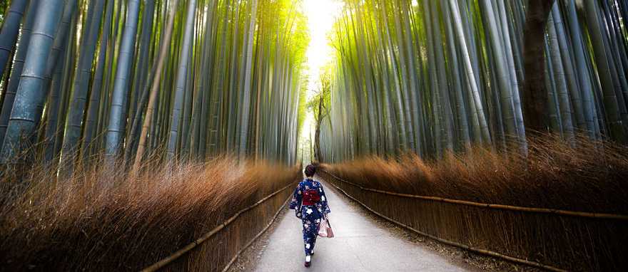Arashiyama Bamboo Forest in Kyoto, Japan
