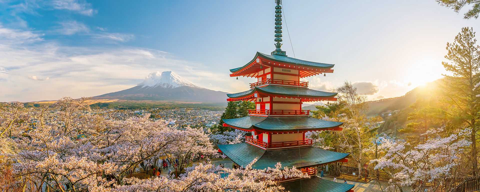 Chureito Padoda with cherry blossoms and Mt Fuji in the distance