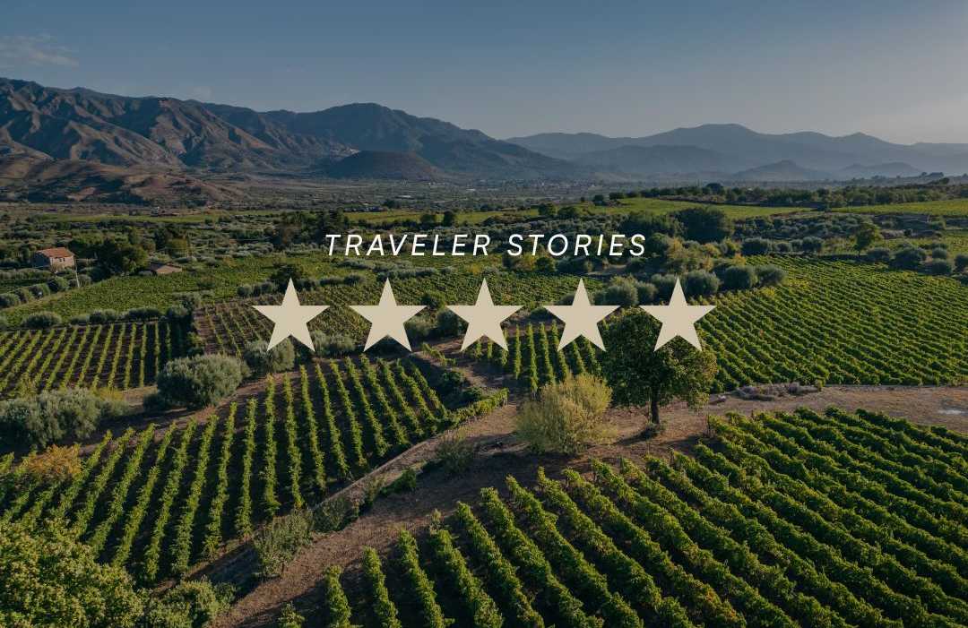 Vineyards in Sicily, Italy