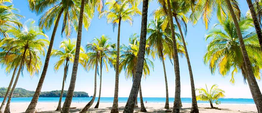 Costa Rica’s Caribbean Charms: 7-Day Family Tour Costa Rica’s Caribbean Charms: 7-Day Family Tour