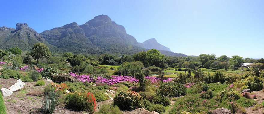 Kirstenbosch Botanical Gardens in Cape Town, South Africa Kirstenbosch Botanical Gardens in Cape Town, South Africa