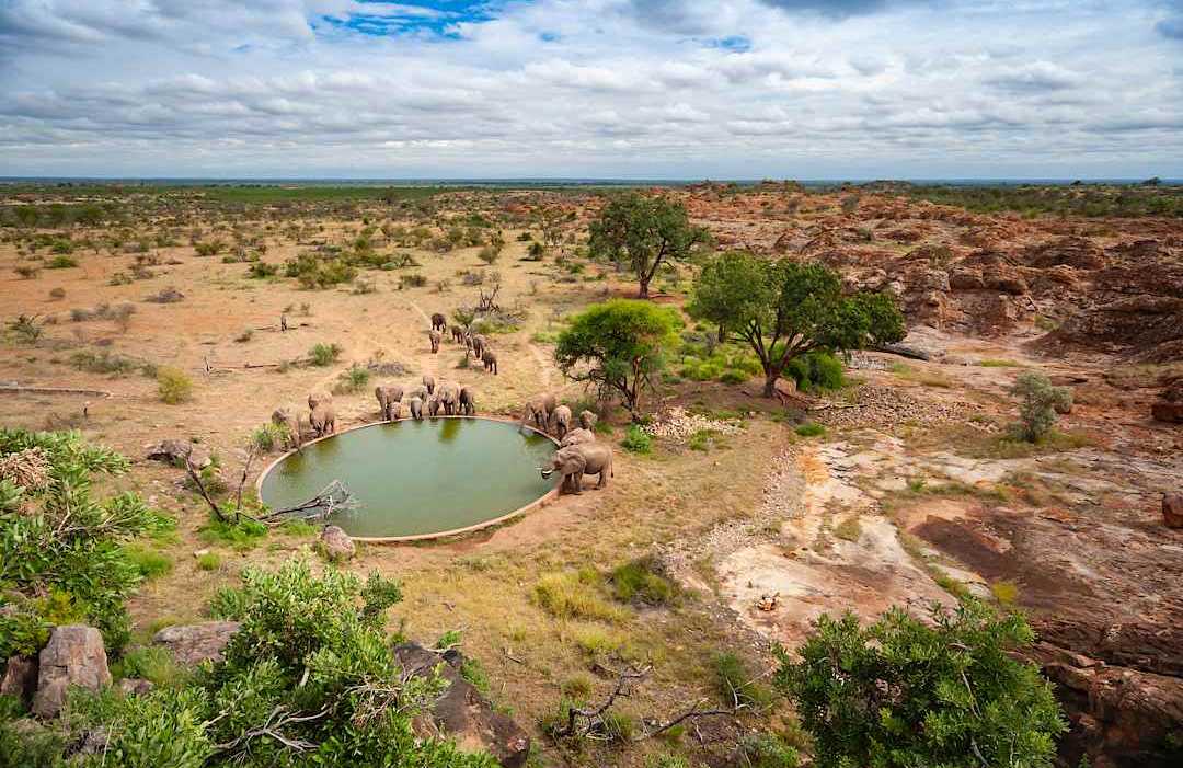 Mapungubwe National Park, South Africa. Mapungubwe National Park, South Africa.