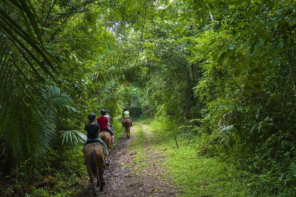 Horseback riding in Belize