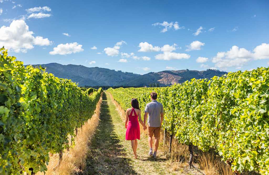 Couple exploring vineyards in New Zealand