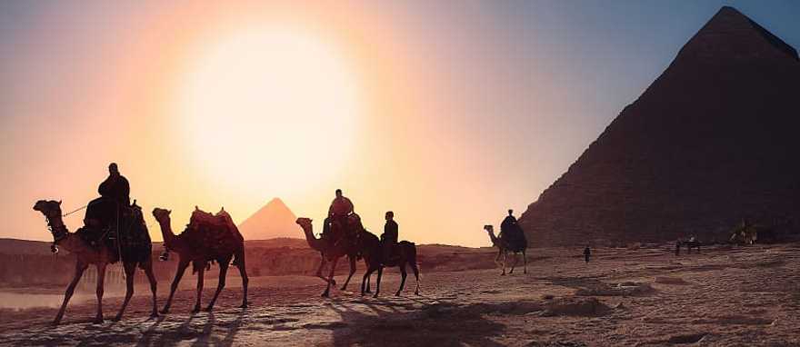 Camel caravan in Giza at sunset, Egypt