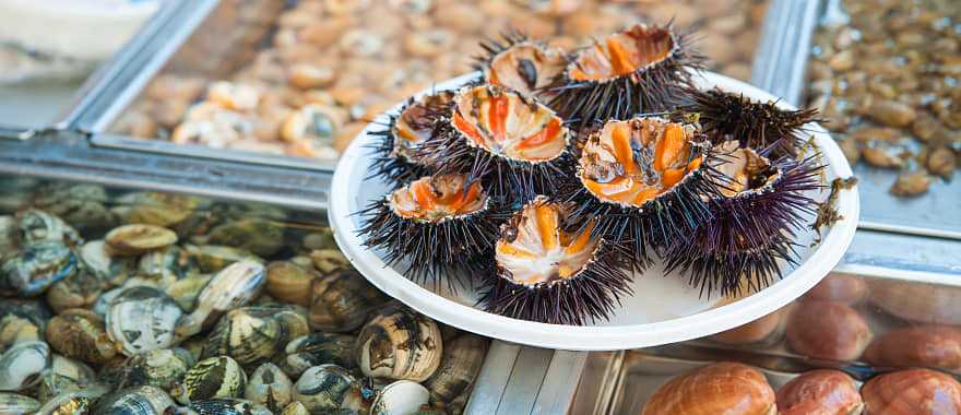 Traditional assortment of the fish market of the island town, Sicily