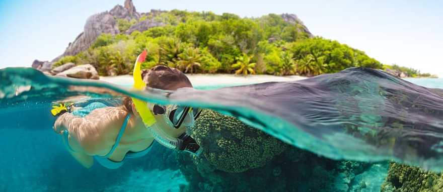 Snorkeling in the Seychelles. Snorkeling in the Seychelles.