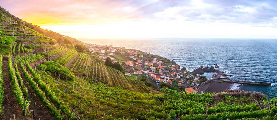 Madeira, view of the coast and vineyards in Portugal Madeira, view of the coast and vineyards in Portugal
