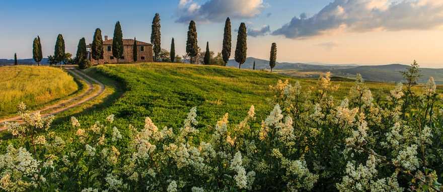 House surrounded by green fields and cypress trees in Tuscany, Italy House surrounded by green fields and cypress trees in Tuscany, Italy