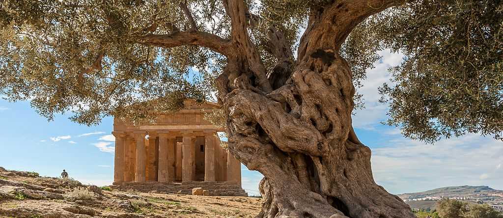 Agrigento in Sicily, Italy Agrigento in Sicily, Italy